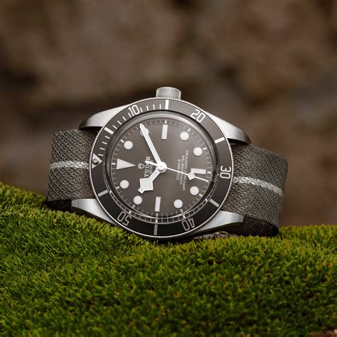 tudor black bay 58 dial.